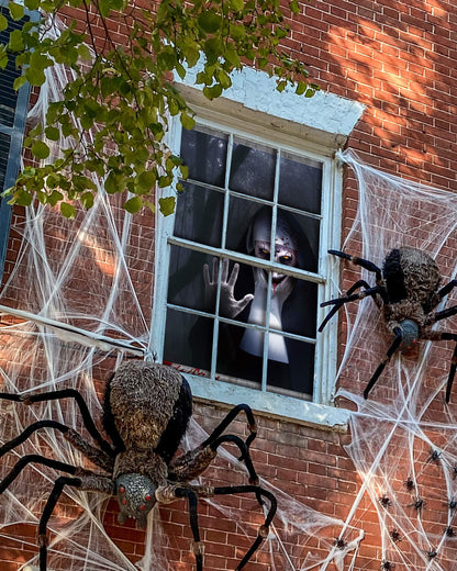 2 Pack of Halloween Window Cover, Sister Ghost